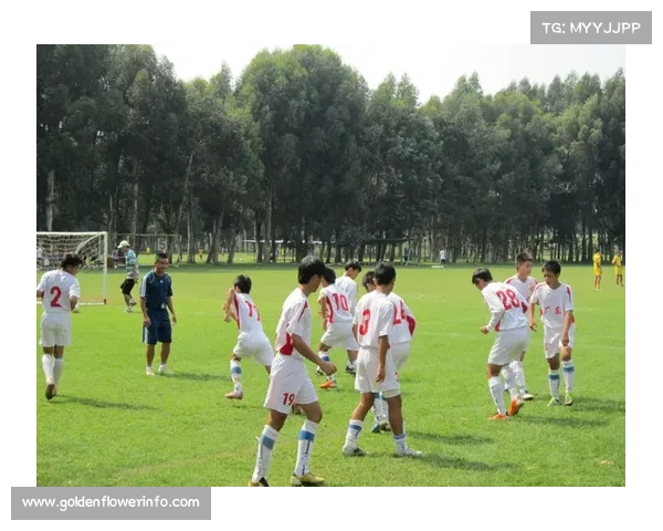 青少年足球训练营与夏令营热度飙升