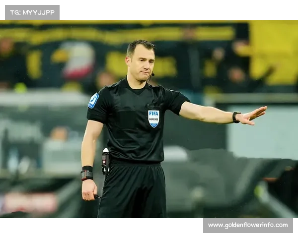 评论：裁判尺度不一再度成为赛后焦点，德甲执法一致性遭质疑