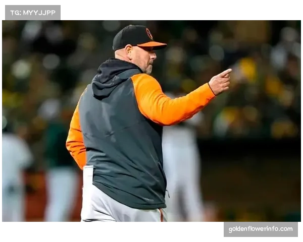 联盟理事会讨论并通过新议案，下赛季将增加“教练挑战”成功后的奖励次数